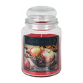 Spiced Apple 500g